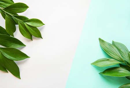 Leaf pattern. Green tropical leaves on pastel