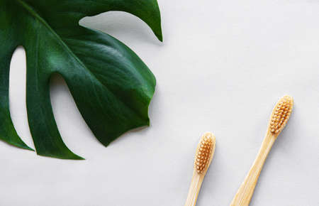 Eco friendly natural bamboo toothbrushes on white background with green monstera leaves. Zero waste concept, plastic freeの写真素材