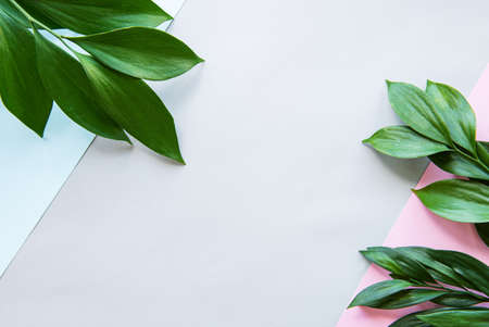 Leaf pattern. Green tropical leaves on pastel background. Summer concept. Flat lay, top view, copy spaceの写真素材