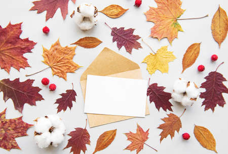 Envelope, cotton flowers, dried  leaves on white background. Autumn, fall concept. Flat lay, top...