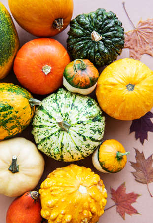 Pumpkins  and fall leaves on a light brown background. Pumpkin harvest. Seasonal vegetables. Flat lay. の写真素材