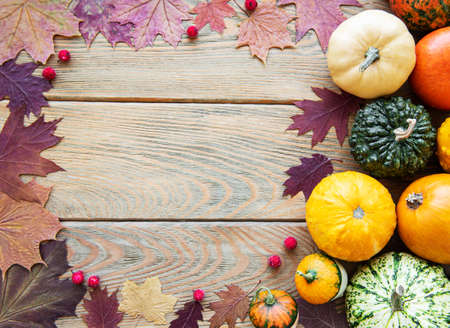 Pumpkins  on a wooden background. Pumpkin harvest. Seasonal vegetablesの写真素材