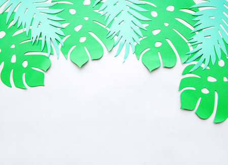 Paper cut tropical monstera leaves, plants frame.  Space for text. Beautiful  green jungle floral...