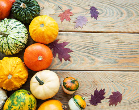 Pumpkins  on a wooden background. Pumpkin harvest. Seasonal vegetablesの写真素材