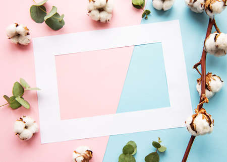 White frame on a pastel background and a cotton flowers の写真素材