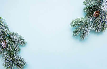 Christmas tree branch with snow and pine cones on light blue   with copy spaceの写真素材
