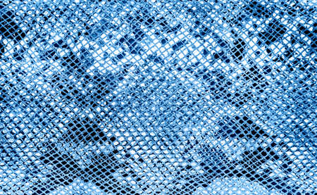 Snake skin  toned blue color.の写真素材