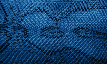 Snake skin pattern, natural  toned classic blue color
