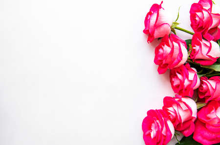 Red roses on a white background, floral border, flat lay, copy spaceの写真素材