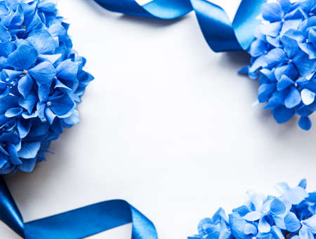 Blue hydrangea flowers on white background. Floral border. Flat lay. の写真素材