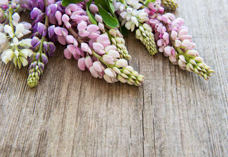 Pink  lupine flowers border on a old wooden backgroundの写真素材