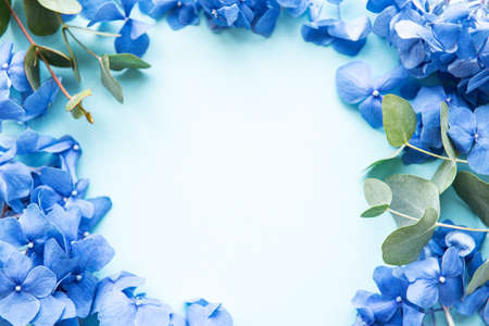 Blue hydrangea flowers and eucalyptus on blue pastel background. Floral border. Flat lay.