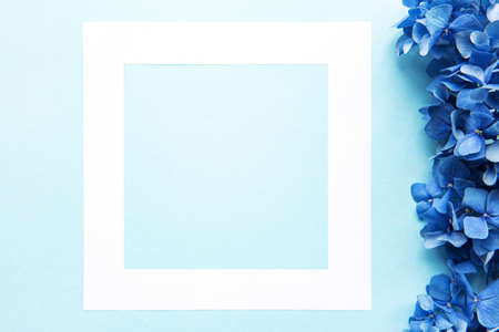White frame on a blue pastel  and a blue hydrangea flowersの写真素材