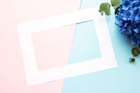 White frame on a pastel background and a blue hydrangea flowers