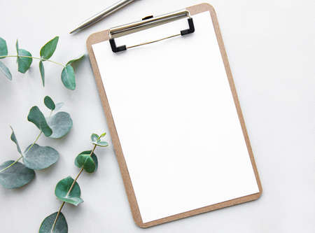 Mock up clipboard and green eucalyptus leaves on white background top view.  copy space. flat lay