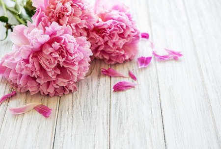 Background with pink peonies on white wooden boardの写真素材