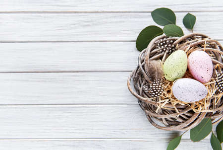 Easter background with colorful eggs in nest and green leaves on a white wooden background. Top view...