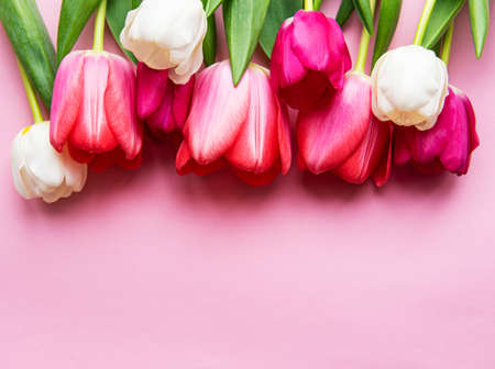 Beautiful tulips bouquet on a pink pastel  background