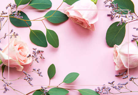 Pink roses and eucalyptus as a border on a pink background, flat lay.の写真素材