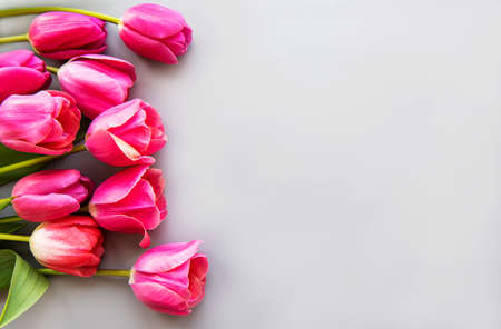Beautiful tulips flowers on a grey  background as a borderの写真素材