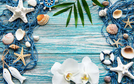 Seashells on wooden background. Sea summer vacation background with space for the text. Top viewの写真素材