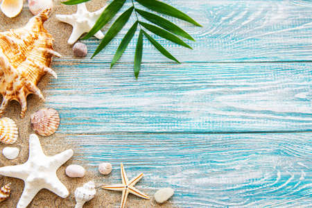 Seashells on sand. Sea summer vacation background with space for the text. Top view