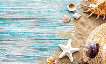 Seashells on sand. Sea summer vacation background with space for the text. Top view