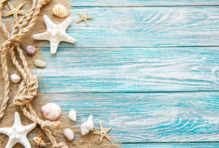 Seashells on sand. Sea summer vacation background with space for the text. Top view