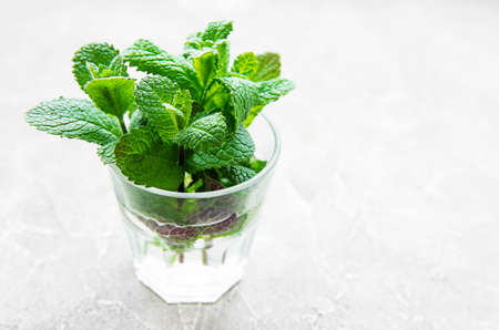 Bundle of fresh organic mint twigs in glass on concrete backgroundの写真素材