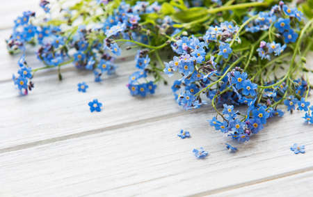 Forget-me-nots on white wooden background with copy space. Romance concept.の写真素材