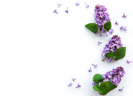 Branches and flowers of lilac on a white background, top viev, flat lay, copy space for Easter,...