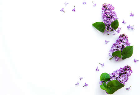 Branches and flowers of lilac on a white background, top viev, flat lay, copy space for Easter, mother's day, women's dayの写真素材