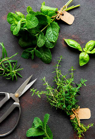 Fresh herbs on black stone backgroundの写真素材