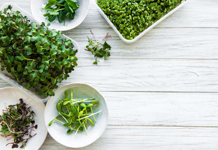 Assortment of micro greens on white wooden background, copy space, top view. red radish, green peas, sunflower and other sprouts in bowls. Healthy lifestyleの写真素材