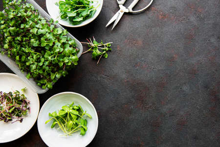 Assortment of micro greens at black background, copy space, top view. Healthy lifestyleの写真素材