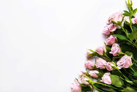 Framework from flowers on white background. Flat lay.の写真素材