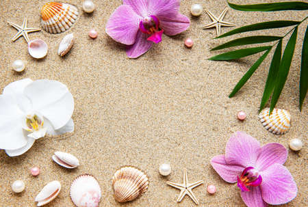 Shells in the sand with starfish and orchid flowers as a border. Summertime on beach concept. Summer beach.の写真素材