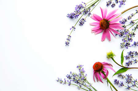 Echinacea and lavender flowers flat lay, top view. White background.の写真素材