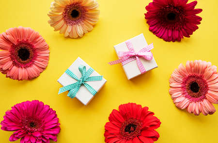 Gerbera flowers and gift boxes on a yellow background. Top view