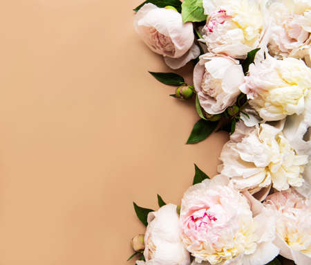 Pink peony flowers as a border on a brown backgroundの写真素材