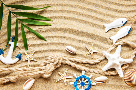 Seashells on sand. Sea summer vacation background with space for the text. Top viewの写真素材
