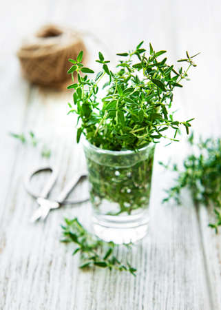 Close up view of thyme bunch. Green thyme in a glassの写真素材