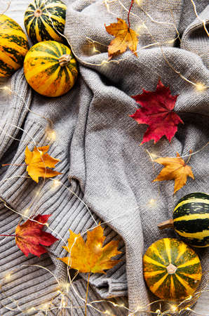 Autumn season.Thanksgiving holiday. Pumpkins and a warm gray sweater with shining garlands. Cozy autumn mood. Fall time. October and November. Autumn holidaysの写真素材