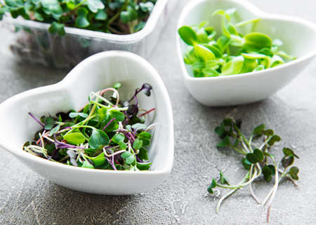 Assortment of micro greens at concrete background, top view. Healthy lifestyle