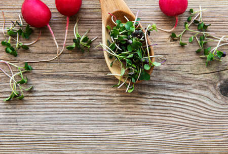 Heap of radish micro greens on old wooden background. Healthy eating concept.の写真素材