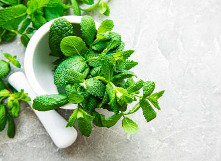 Fresh green mint in mortar on gray concrete backgroundの写真素材