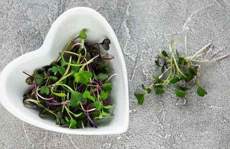 Red radish microgreens on a concrete table, healthy concept