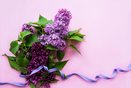 Lilac in flat style on pink background. Beautiful spring. Overhead view. Flat lay, top. Summer season. Natural spring style.の写真素材
