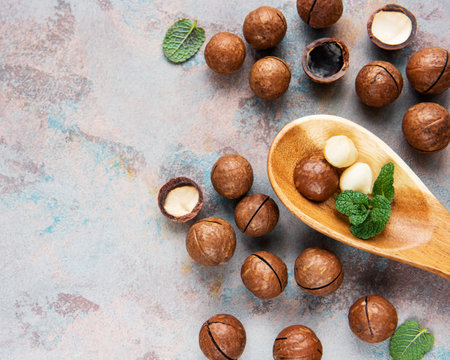 Organic Macadamia nuts on a gray concreteの写真素材