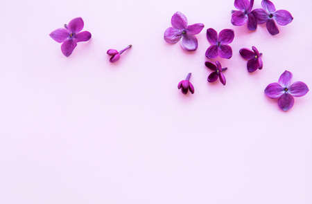 Lilac flowers, border on a pink background. Flat lay, top view.の写真素材